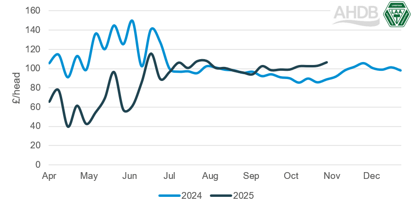 Graph showing store sheep prices 2024 and 2025